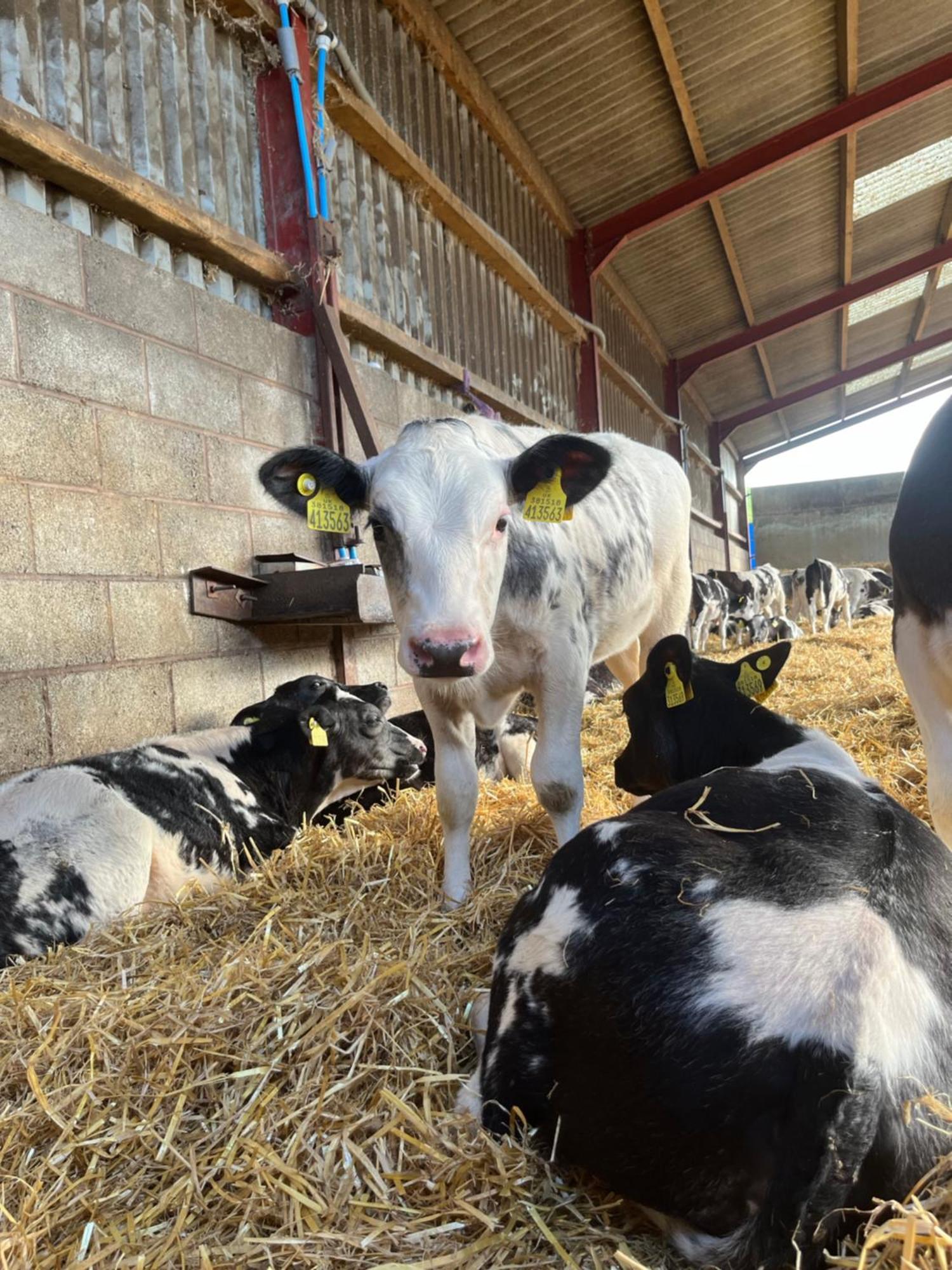 Lower Thornton Farm Vakantieboerderij Exeter